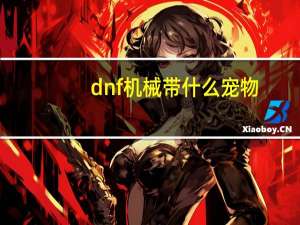 dnf机械带什么宠物