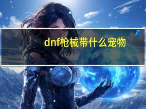 dnf枪械带什么宠物