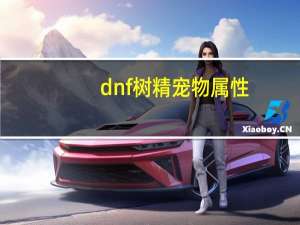 dnf树精宠物属性