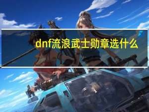 dnf流浪武士勋章选什么（dnf流浪武士勋章）