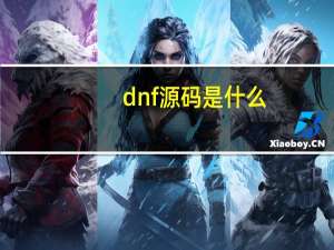dnf源码是什么