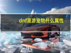 dnf漫游宠物什么属性