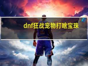 dnf狂战宠物打啥宝珠