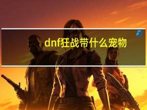 dnf狂战带什么宠物