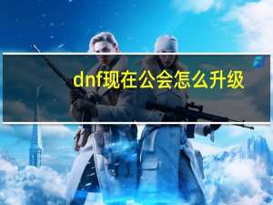 dnf现在公会怎么升级（dnf公会怎么升级）