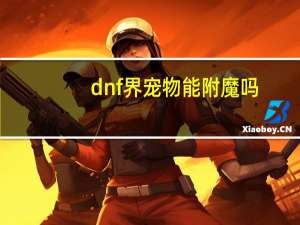 dnf界宠物能附魔吗