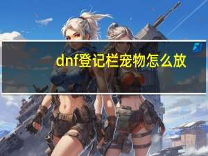 dnf登记栏宠物怎么放