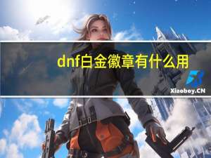 dnf白金徽章有什么用（dnf白金徽章合成）