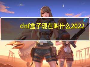 dnf盒子现在叫什么2022（dnf现在开的盒子 叫什么名字）