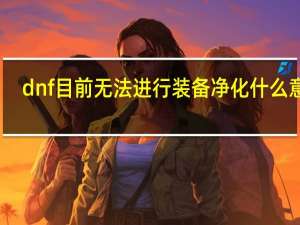 dnf目前无法进行装备净化什么意思（dnf无法使用未净化的装备）