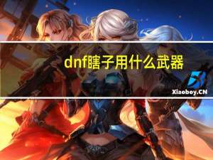 dnf瞎子用什么武器（dnf瞎子用什么武器）
