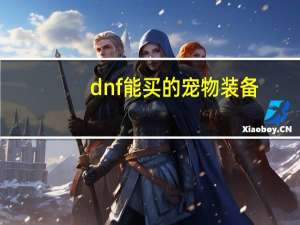 dnf能买的宠物装备