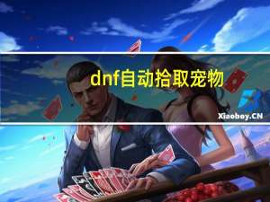 dnf自动拾取宠物