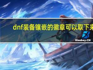 dnf装备镶嵌的徽章可以取下来（dnf镶嵌的徽章能拿下来）