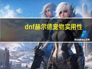 dnf赫尔德宠物实用性