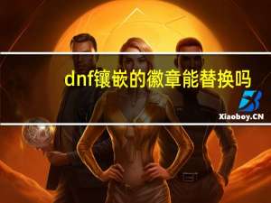 dnf镶嵌的徽章能替换吗（dnf镶嵌的徽章能拿下来）
