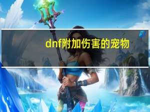 dnf附加伤害的宠物