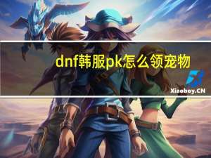dnf韩服pk怎么领宠物