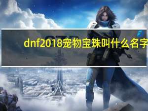 dnf2018宠物宝珠叫什么名字