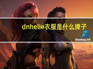 dnhelie衣服是什么牌子