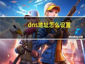 dns地址怎么设置（怎么设置dns）