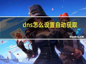 dns怎么设置自动获取（dns怎么设置）