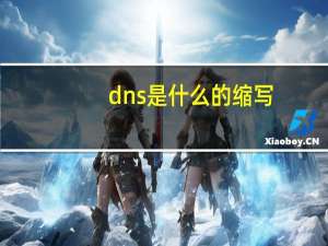 dns是什么的缩写（DNS是什么）