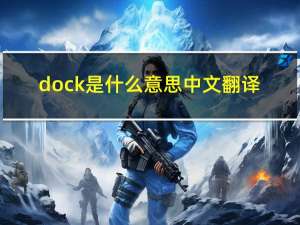 dock是什么意思中文翻译（dock是什么意思）