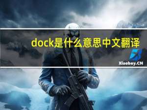 dock是什么意思中文翻译（dock是什么意思）