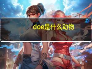 doe是什么动物（doe是什么）