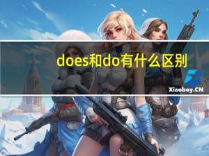 does和do有什么区别