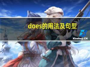does的用法及句型