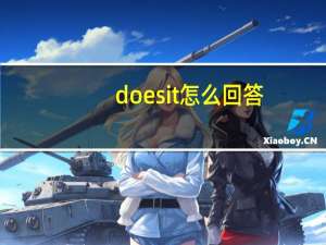 does it怎么回答