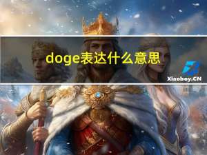 doge表达什么意思（doge是什么意思网络用语）