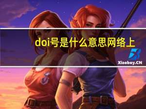 doi号是什么意思网络上（doi号是什么）