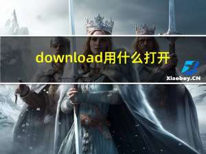 download用什么打开（download文件怎么打开）