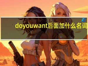 do you want后面加什么名词