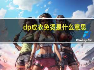 dp成衣免烫是什么意思