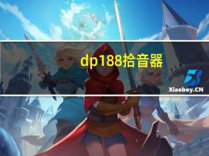 dp188拾音器（dp188）