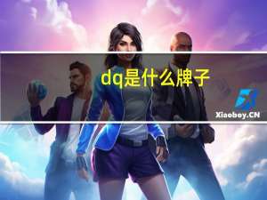 dq是什么牌子