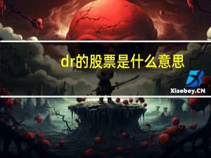 dr的股票是什么意思