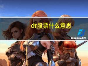 dr股票什么意思