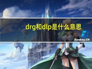drg和dlp是什么意思