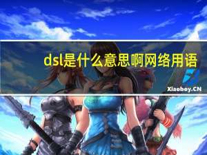 dsl是什么意思啊网络用语