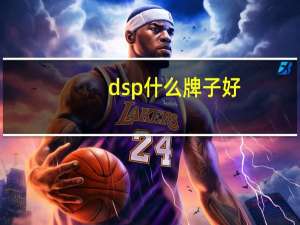dsp什么牌子好