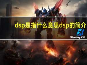 dsp是指什么意思dsp的简介