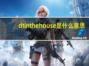 dt in the house是什么意思