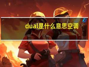 dual是什么意思空调