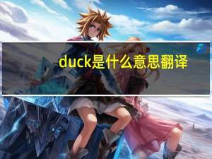 duck是什么意思翻译