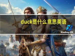 duck是什么意思英语